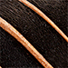 Image of pianoStrings